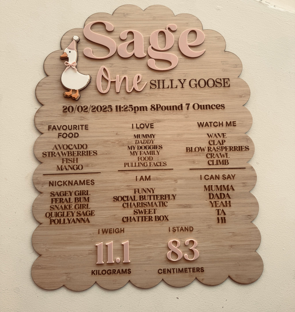 personalised baby milestone plaque handmade by coco and may

newborn birth stats plaque australia

baby milestone keepsake plaque