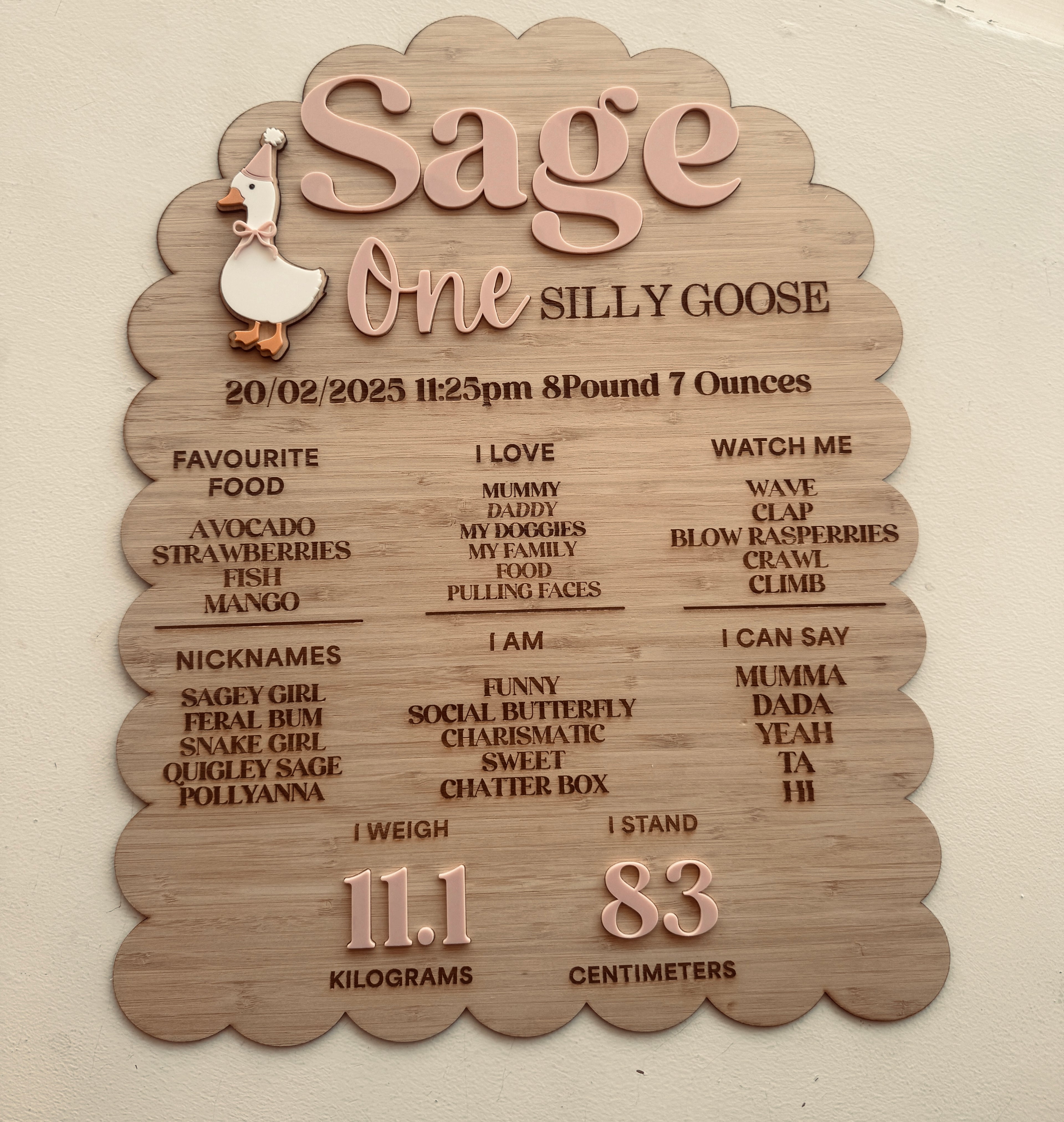 personalised baby milestone plaque handmade by coco and may

newborn birth stats plaque australia

baby milestone keepsake plaque
